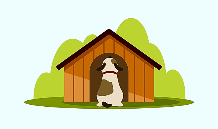 Ahşap Köpek Evlerinin ve Külübelerinin Faydaları ve Köpekleri Alıştırma Süreci