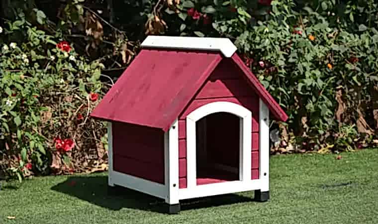 Ahşap Köpek Kulübesi